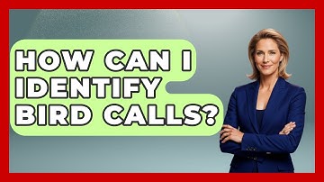 How Can I Identify Bird Calls? | Bird Watching Diaries