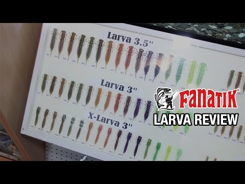 Fanatik Larva video