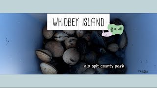 Whidbey Island: Ala spit county park 조개잡기 clamming 브이로그2