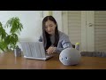 Robotkat voor mensen met een kattenallergie