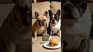 Just for fun #trending #shortsindia #viral #comedy #funnyshorts #animals