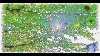 SWALLOW THE SLOW - アオシグレ (MV)