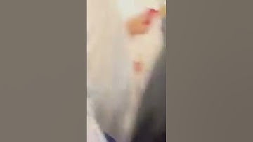 أبهر الجميع بصوته العذب رغم صغر سنه.. فل يتلو القرآن الكريم‏ أثناء الطواف حول الكعبة ♥️