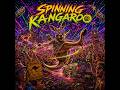 Spinning Kangaroo - Psy / Trap / Wobble - Best Enjoyed Irresponsibly Loud