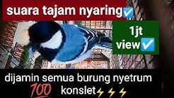 Suara burung glatik batu tajam full isian mahar 1juta saja  - Durasi: 8:54. 