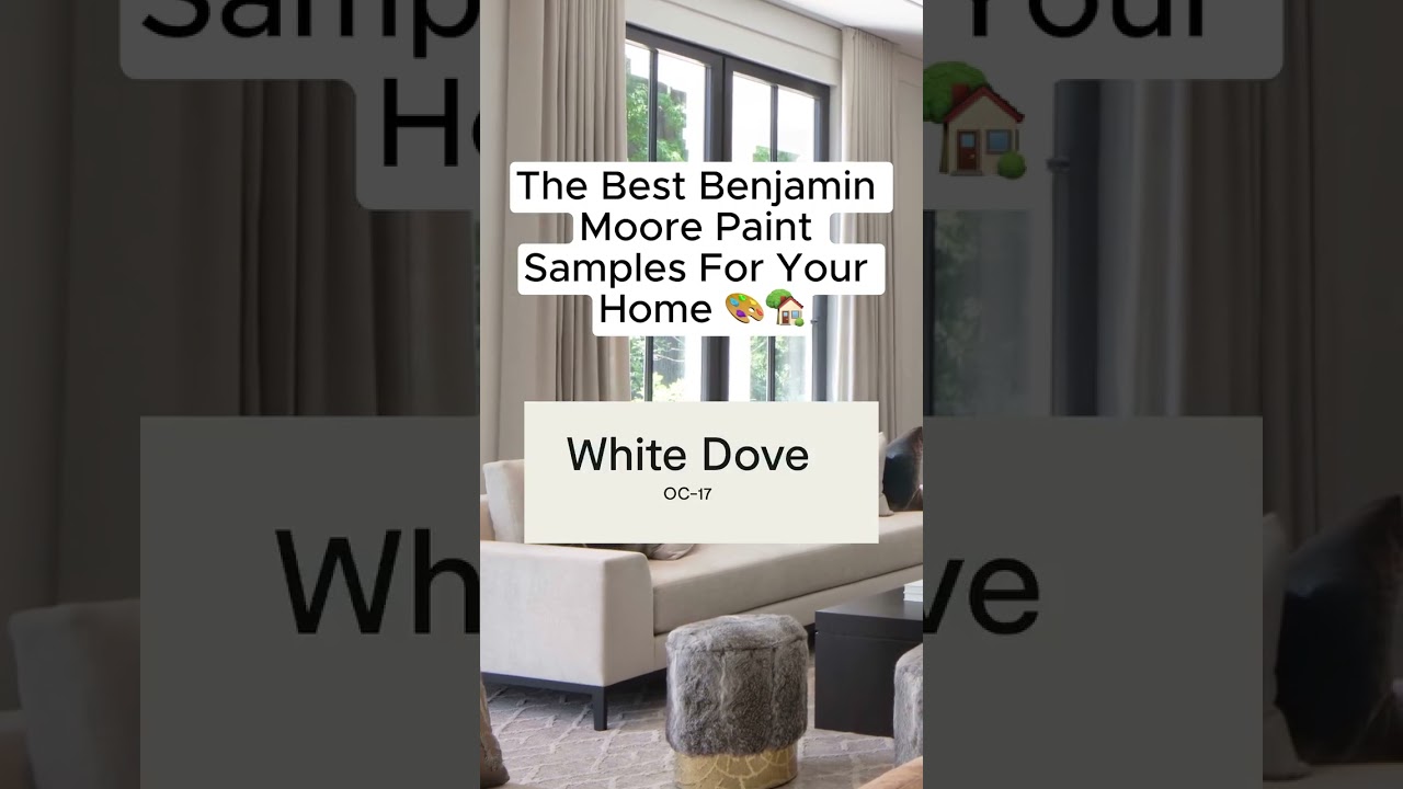 🤔 Here’s Why: 🥇Here’s a few of my go-to Benjamin Moore paint samples