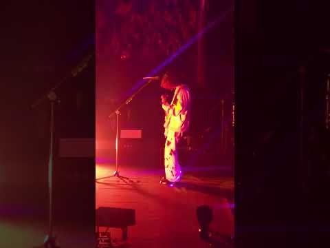 【BASS】キタニタツヤ / 落下ウサギと寡黙な傍観者の手記【2024.5.14 武道館】10th Anniversary Live「彼は天井から見ている」