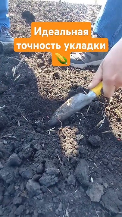 PRECEA - лучшая сеялка для пропашных культур: кукурузы, свёклы ...