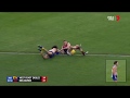Rd 9  speedy eagle caught by frost