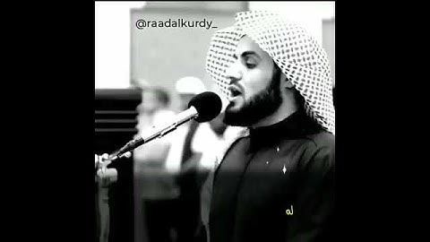 #شيخ_رعد_محمد_الكردي حالات واتس اب #تلاوات_قرآنيه #القرآن_الكريم #رعد_الكردي 🌺😌🎧