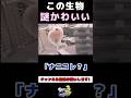 スプラ3の謎生物【スプラ3】