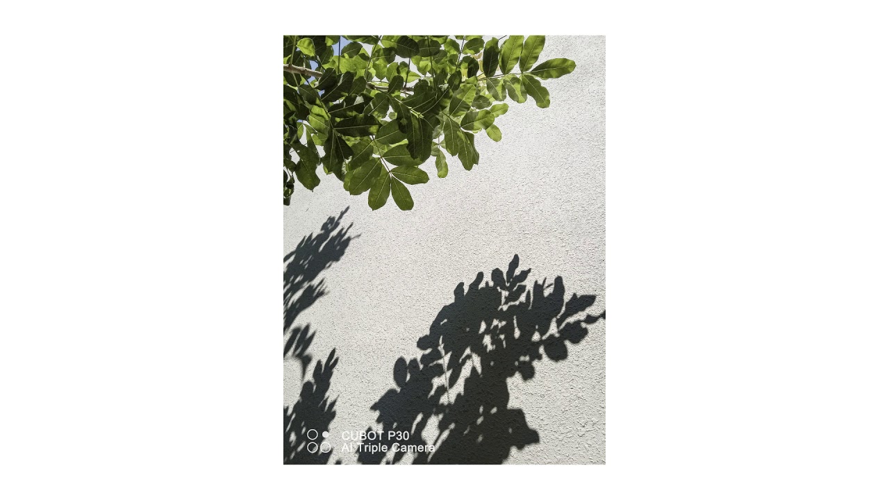 Cubot P30 -  Taking Photos