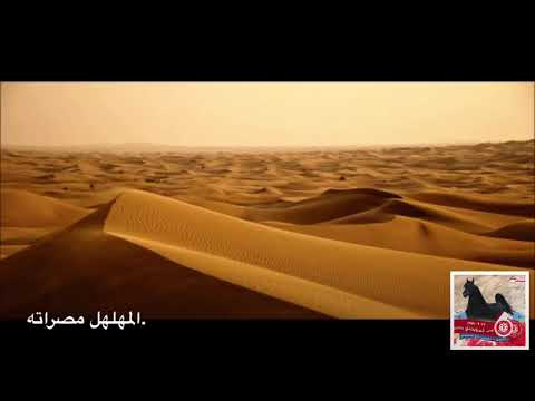 في الديموم جيل ثوارة