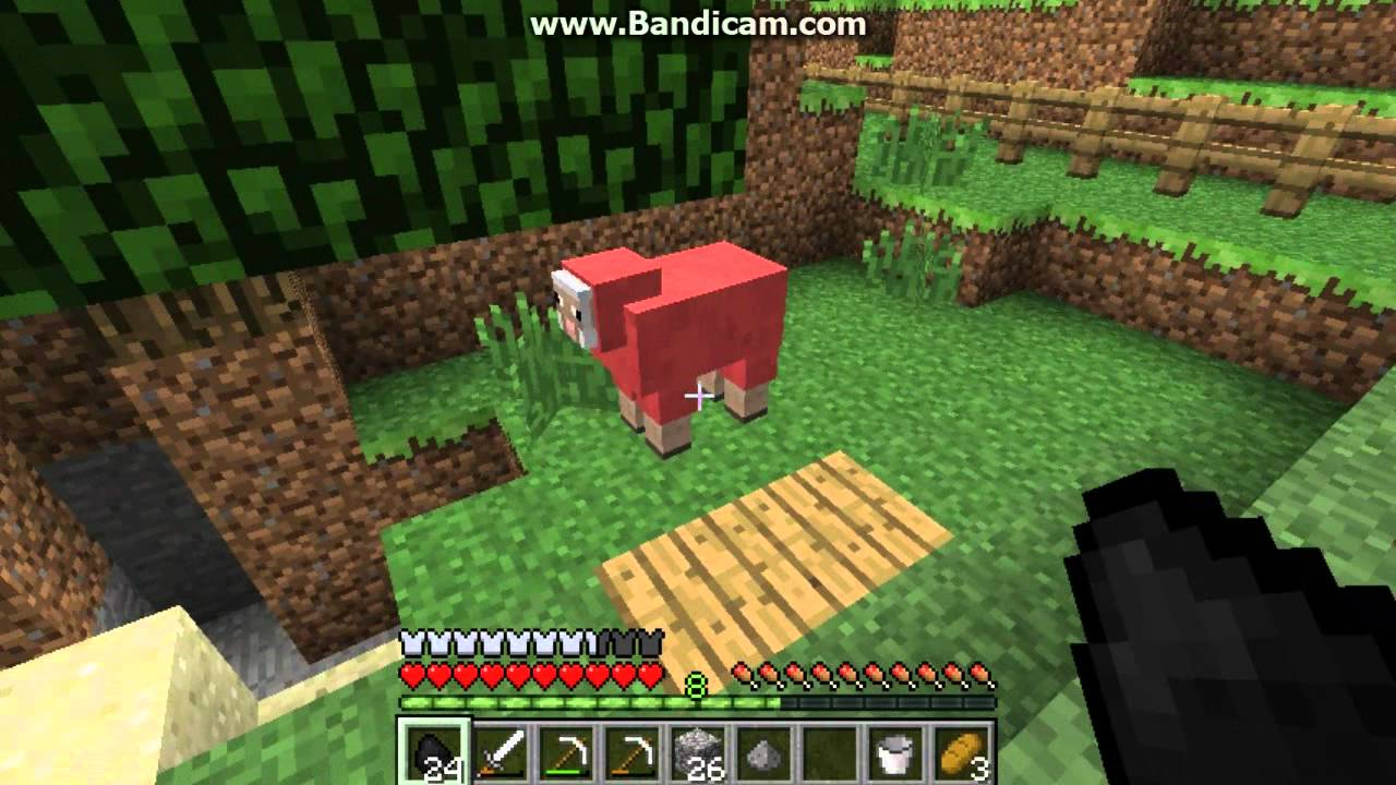  Minecraft video test using Bandicam - YouTube