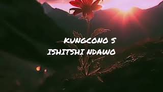 Bless  The Gentleman  Dj Kap  Dali   Vizualizer  S trending danianoisthefuture