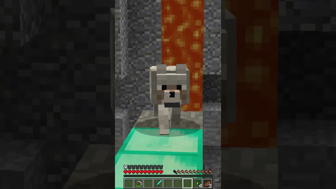 I am helping a dog in need...🥺 #minecraft