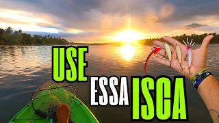 Use ESSA ISCA no MANGUE e PEGUE MUITO PEIXE! (dica infalível)