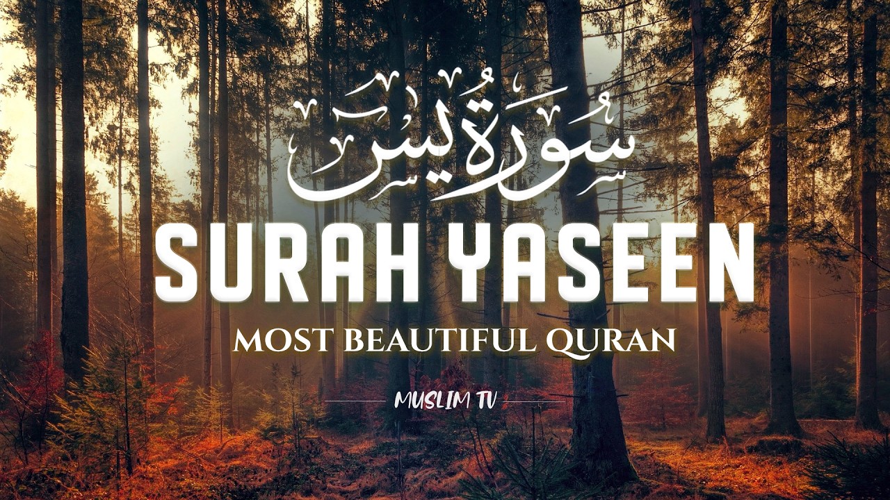 Surah Yaseen (سورة يس) | Beautiful Calming Recitation for Tranquility & Reflection #yasin