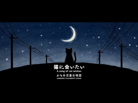 かもめ児童合唱団 - 猫に会いたい
