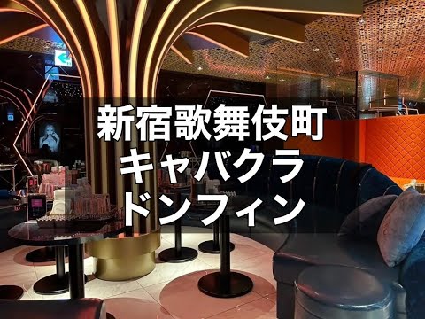 新宿歌舞伎町キャバクラ　店内紹介【ドンフィン（Donfin）】