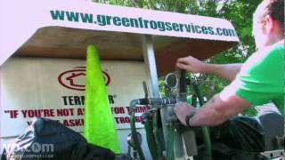 Exterminatiors Jacksonville FL Greenfrog Pest Prevention