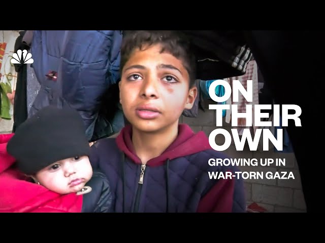Surviving In A War-Torn Area - The War In Gaza