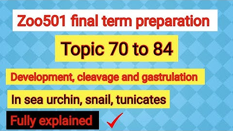 Zoo501 final term preparation | topic 70 to 84 | development in sea urchin, snail, tunicates #zoo501