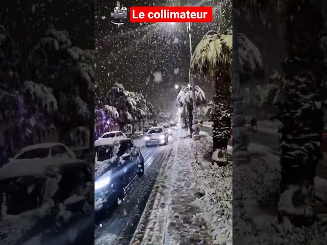 الثلوج تتساقط في وجدة بعد 25 عاما من الغياب