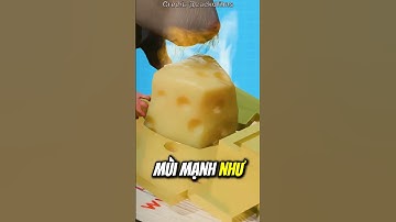 Cách Bẫy Chuột Hoạt Động 😯 (Nên Có Một Cái)