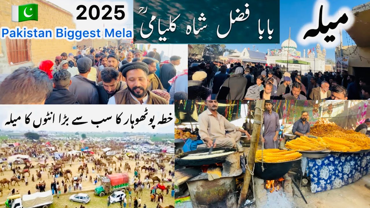 Kalyam Sharif Mela 2025 | Hazrat Baba Fazal Shah Kalyami R.A | Punjab,s Biggest Camel Festival 2025