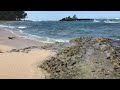 Serenity by the Shore: A Hawaiian Beach Experience, just close your eyes