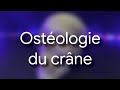 Ostologie du crne