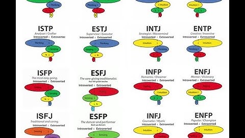 Cognitive Functions- Fi/Ne/Si/Te MBTI Part 2