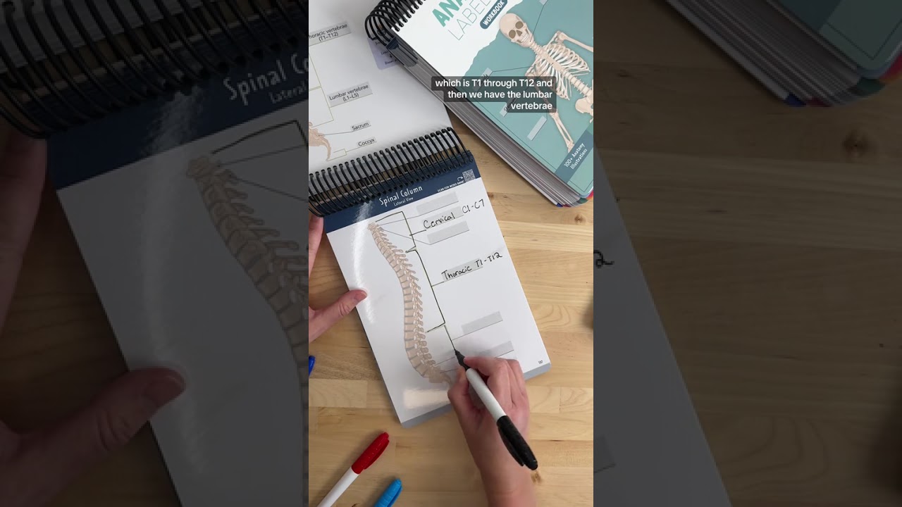Spinal Column Memory Trick🦴 - YouTube