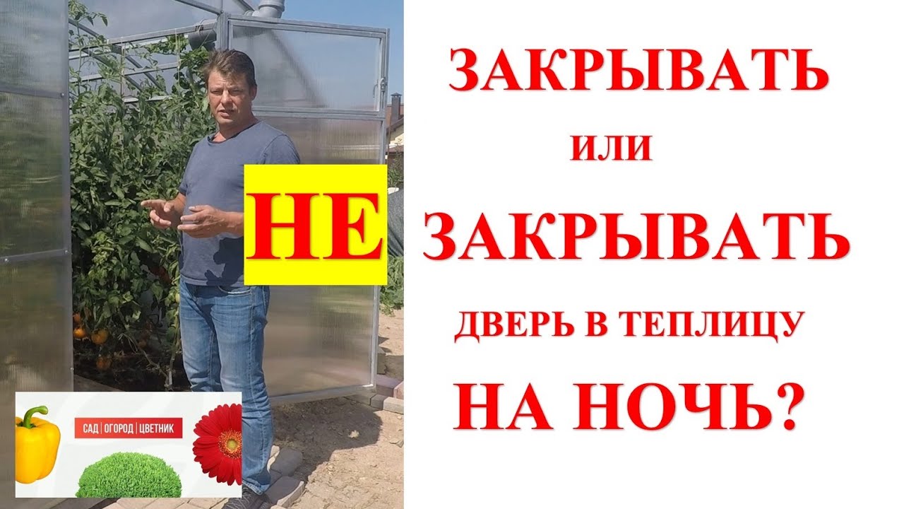 надо ли закрывать теплицу на ночь? не надо закрывать дверь в теплице ...