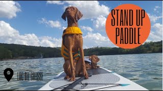VLOG : Stand Up Paddle (Lac du Causse) // Cavalier King Charles & Vizsla by AndyWho11th 39 views 1 year ago 4 minutes, 43 seconds