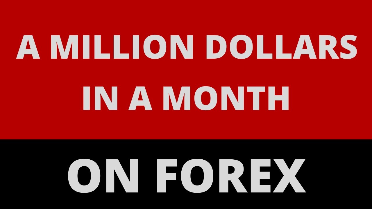 can forex make you millionaire