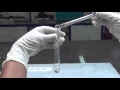 Tests for Carboxylic Acids - MeitY OLabs