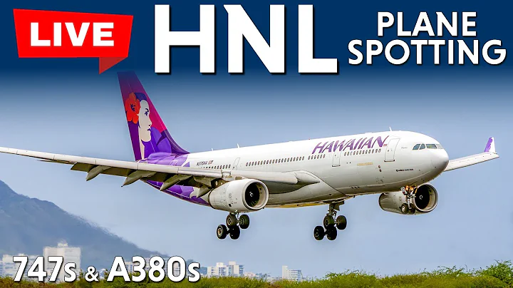 Arrivals and Departures at HNL/PHNL Honolulu Hawaii - Live Planespotting 12-20-2025