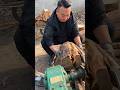 लकड़ी के छोटे-छोटे टुकड़े करने की मशीन लकड़ी फाड़ने#shorts #shorts video viral tools #farming video