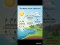 The Water Cycle Explained: Evaporation to Precipitation | Education content