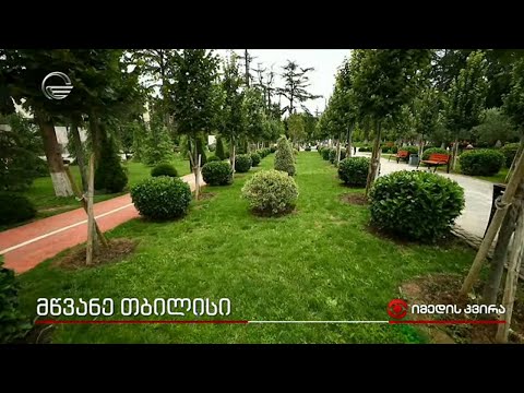 მწვანე თბილისი