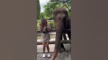 Explore Bali Zoo With Jegeg Bulan