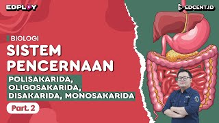 Materi Biologi: Sistem Pencernaan | Polisakarida, Oligosakarida, Disakarida, Monosakarida | Part 2