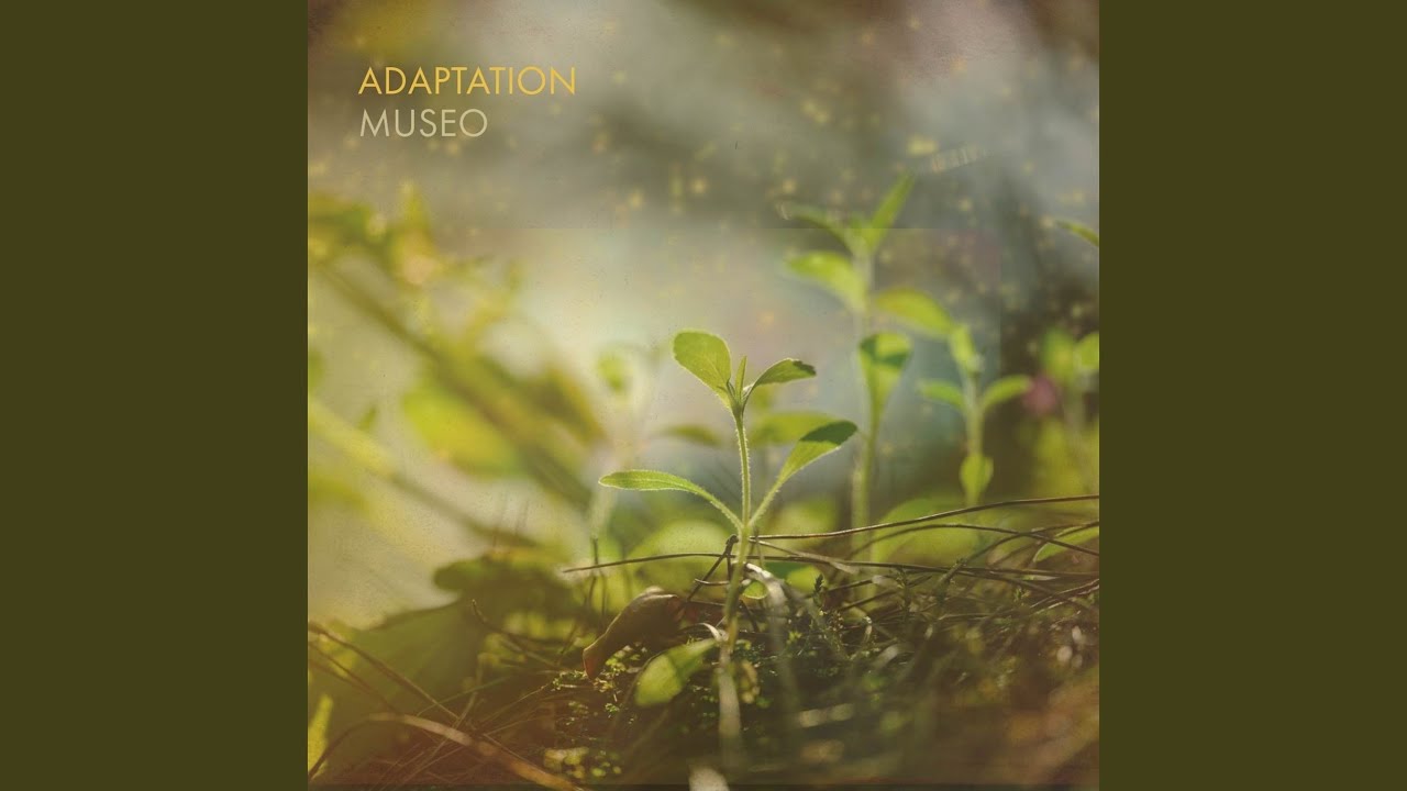 Watch Adaptation (Rain) on YouTube Watch Adaptation (Rain) on YouTube