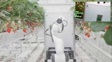 BERRY - Automated Strawberry Harvesting Robot