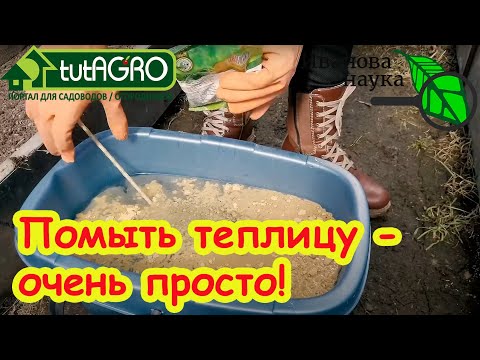 ТЕПЛИЦА ВЕСНОЙ: ЧЕМ