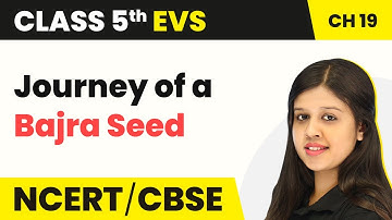 Class 5 EVS Chapter 19 | A Seed Tells a Farmer’s Story - Journey of a Bajra Seed | Class 5 EVS NCERT