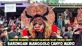 Barongan Ngamuk Keluar Pagar❗Penonton Mawott MANGGOLO CAHYO MUDO Live Branggahan Ngadiluwih Kediri