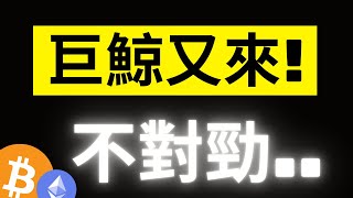 比特幣115000十月關鍵倒數! 遠古超級巨鯨出現大動作..這次金額比13號的大賣空還要更大!? ETH 4040反攻開始! #BTC #ETH